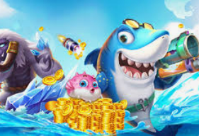 开云足球2024最新版