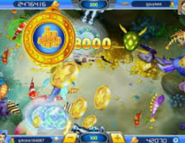 开云足球免费版